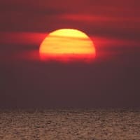 今朝の大山さん　4月17日
