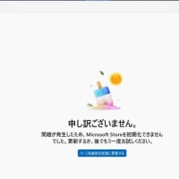Windows 11 Canary Build 27898.1000 にアップデートしたら、Microsoft Store が起動できなくなりました！！