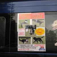 宣伝カー