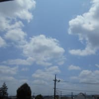 東海地方の梅雨明け…関東は？ ( ・◇・)?(・◇・ )　新たな台風のたまご…豆乳のウエハース♪