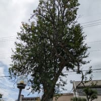 菩提寺の世話人会