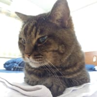 引き寄せられるモノ