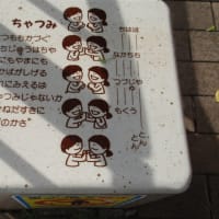 新茶
