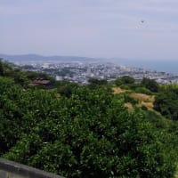 コウヘイちゃんがジムニーでやって来た