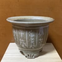象嵌 風蘭古名鉢　草土庵 欅窯