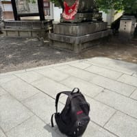 京都の隙間に行った場所とグルメを