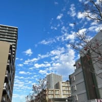 秋の空。