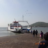 沈まない船…韓国、実尾島へ行く船