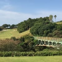 高知県に行きました。