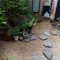春の庭百景めぐり