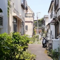 猛暑日の池之端の井戸