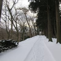 日曜朝　ミルハス前から千秋公園お隅櫓まで歩きました。