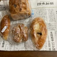 犬と猫との暮らしの高齢者は元気で少し仕事が出きるのが幸せです～♪