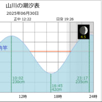 鯵釣り