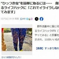 ひっつき虫を簡単に取るには・・・