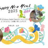 ２０２５年 元旦