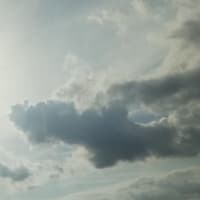 流れ弾