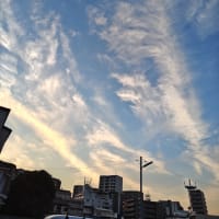 今月の新月・3月29日です！