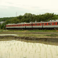 田植え