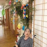 七夕🎋