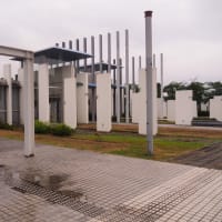 ６月のひまわり