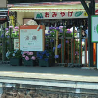 箱根登山鉄道