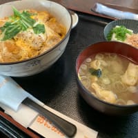 忙しい1週間