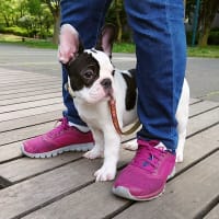 大好きだった公園
