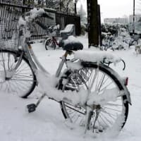 天気予報通りとは言え