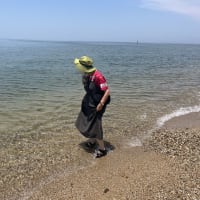 車中泊夫婦・淡路島10日間の珍道中！！
