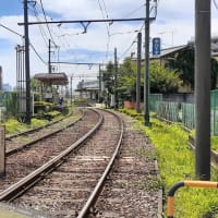 梅雨の晴れ間の雑司ヶ谷霊園