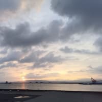 鯵釣り