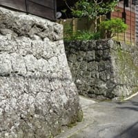 花沢の里から満観峰に向かう