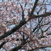 こんにちは