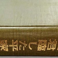Vol.62 弗がつかわれていた沖縄の歴史を発見