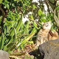 全く同じ場所で会えた子達