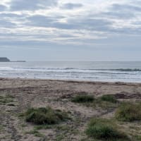 ２０２５年5月２８日御宿海岸よねちゃん前