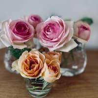 在宅ランチと薔薇子さんたち。