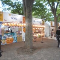 札幌では、今、「第３４回YOSAKOIソーラン祭り」が開催されています。演舞時間の前ですが、カラオケの後、様子を見に大通公園に行った見ました。