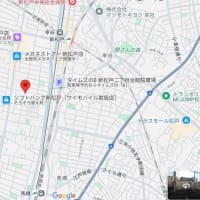 ピンピンコロリが日本を救う！  漢方で病気を予防