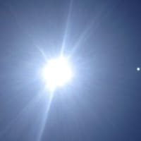 「今年の土用の日は・・・梅ぼし？」