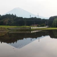 静岡県・富士宮市の「平成棚田」