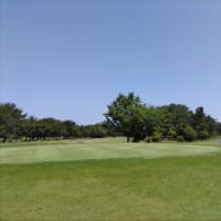 ブログでの出会い