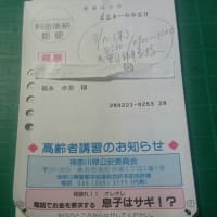 いよいよ《高齢者講習》