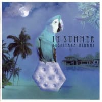 IN SUMMER