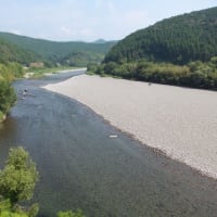 本日の海部川