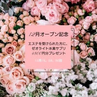 水素エステオープン