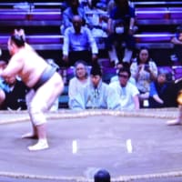 5/22投稿　朝乃山　幕下なんだ