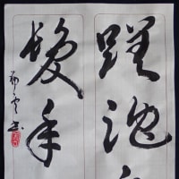 動画で書道を学びましょう！…蹉跎白髪年（草書編）