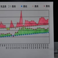 流汗淋漓
